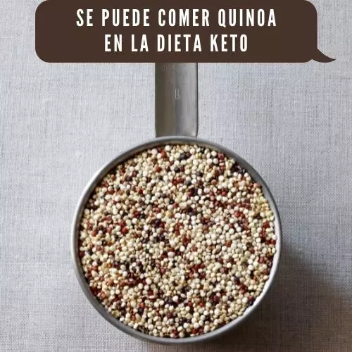 Se Puede Comer Quinoa En La Dieta Keto